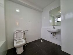 The Cairnhill (D9), Condominium #555762551